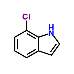 CAS:53924-05-3|7-Chloroindole