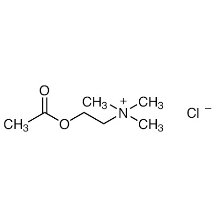 CAS:60-31-1|Acetylcholine clorua