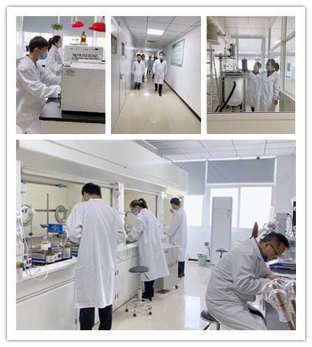 CAS:1688665-93-1丨6-bromo-2,4,8,10-tetra-tert-butyl-5,7-dihydroindolo[2,3-b]carbazole